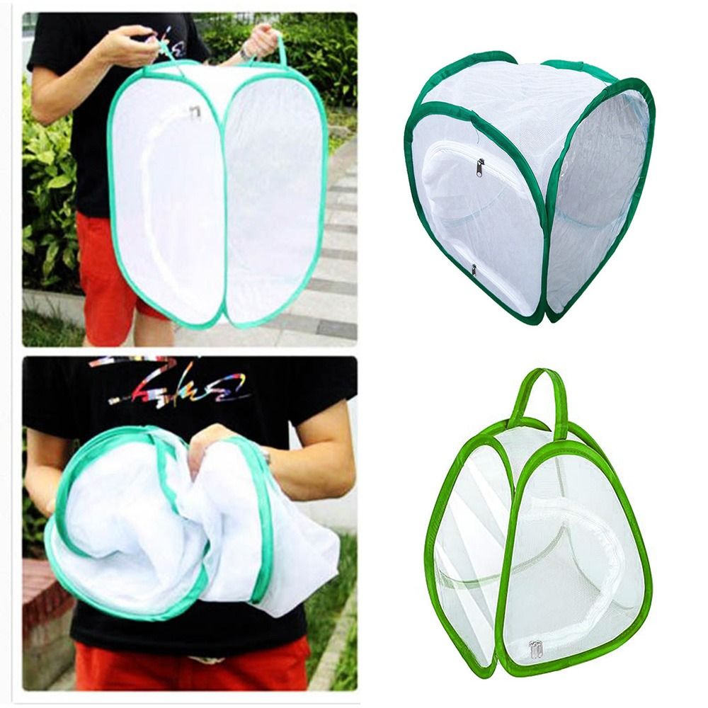 Cage à insectes pliable verte, - Green Screen Collapsible avis et prix