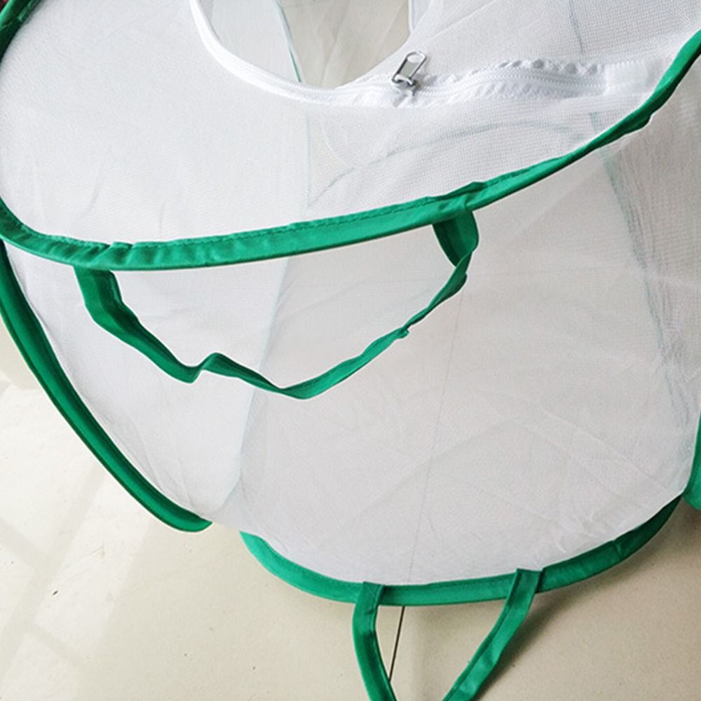 Cage à insectes pliable verte, - Green Screen Collapsible avis et prix