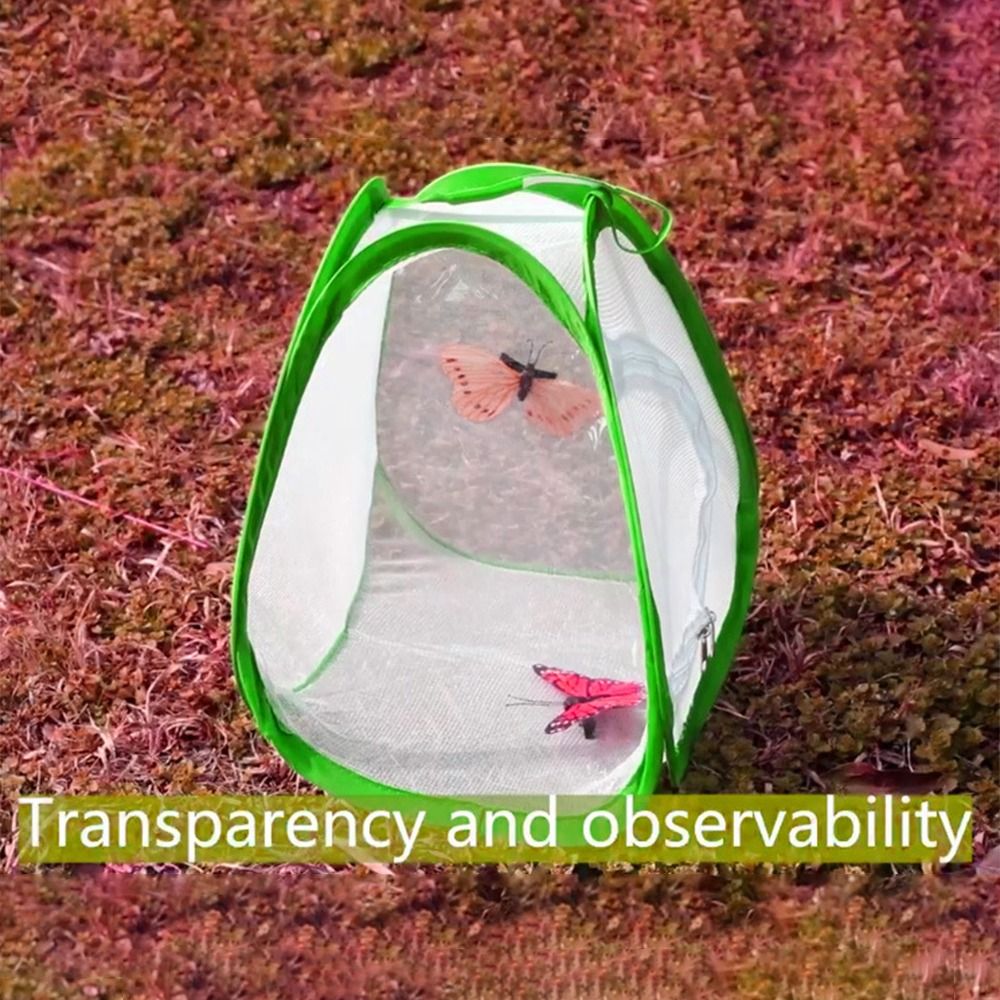 Cage à insectes pliable verte, - Green Screen Collapsible avis et prix